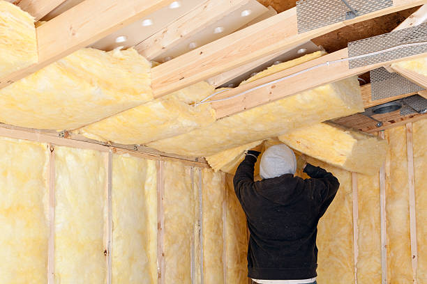 Attic Insulation